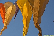 32 FESTIVAL CERVIA 2012 - 083